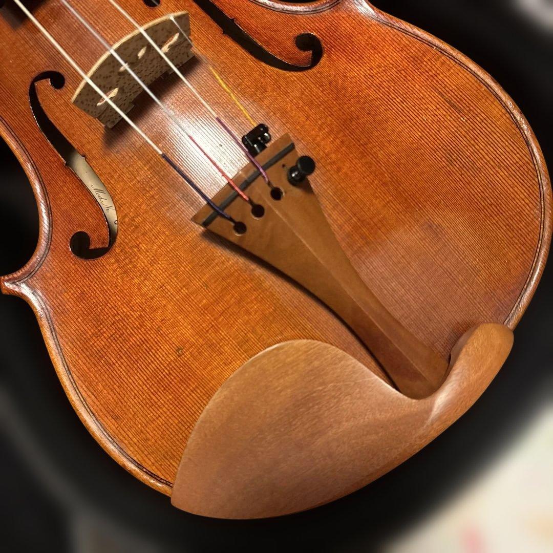 Roderich Paesold 806 バイオリン 4/4サイズ