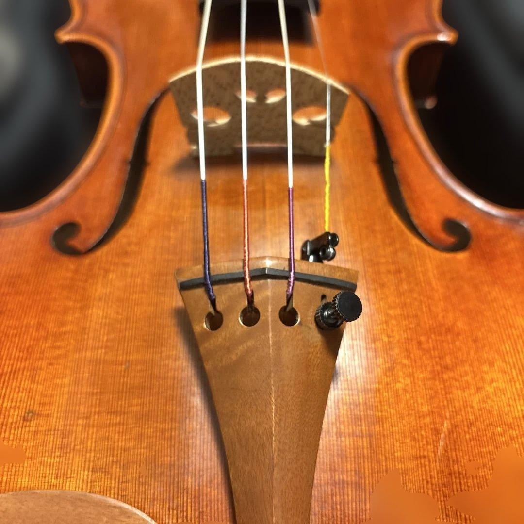 Roderich Paesold 806 バイオリン 4/4サイズ