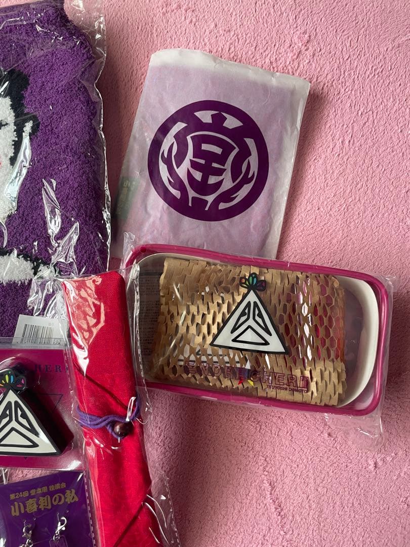 堂本剛 ライブグッズ