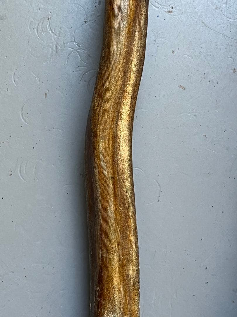 深海松　レインボーコーラル 根付け