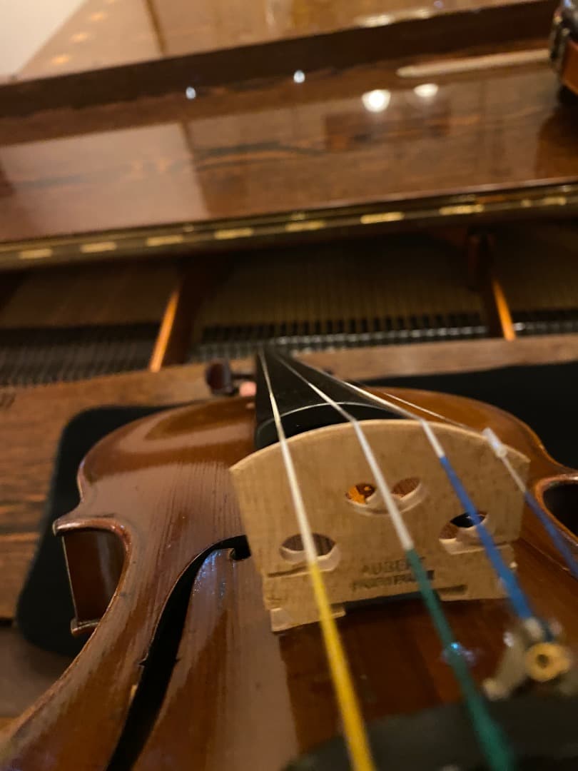 弦楽器 Masakichi Suzuki violin. No.W5 1923-1933