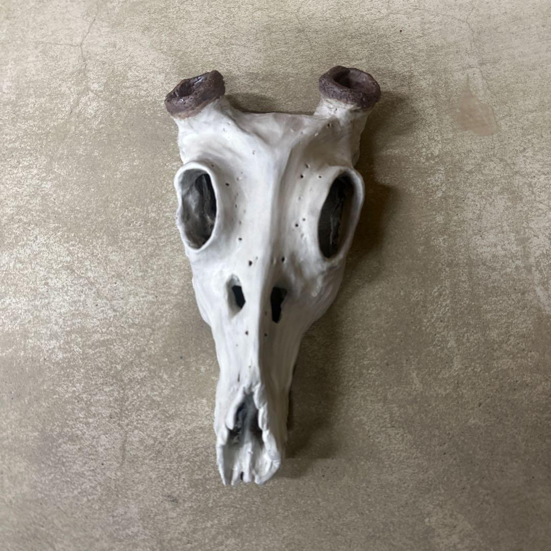 入手困難⭐︎ハンティングトロフィー　陶器製　鹿　角　オブジェ