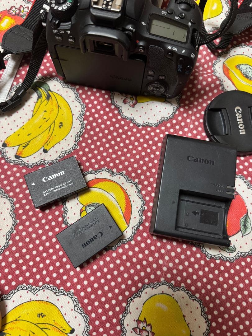 Canon EOS 9000D カメラセット