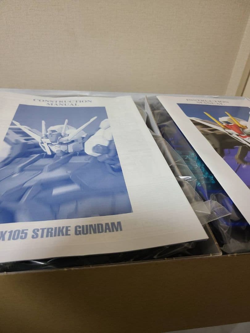 ハ*１様 未組立BANDAI GAT-X105 STRIKE GUNDAM PG