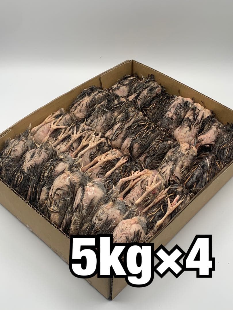 冷凍ウズラ5kg×4段【送料込】