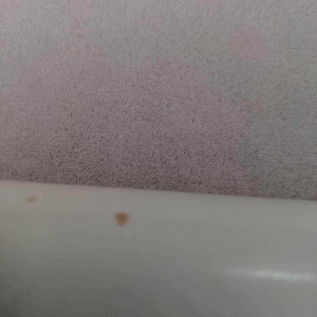 カリオストロの城 ポスター