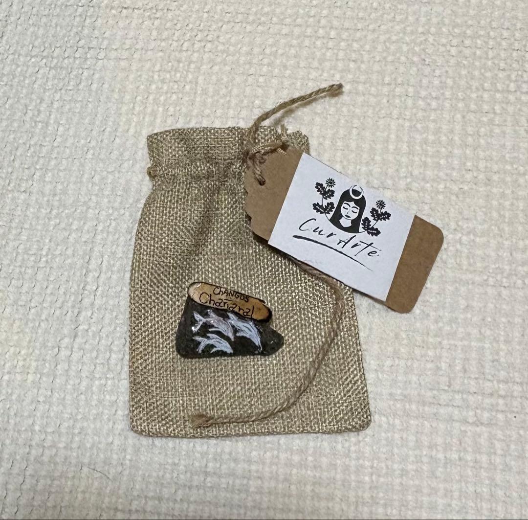 万博　チリグッズセット　おまけ付　【非売品】