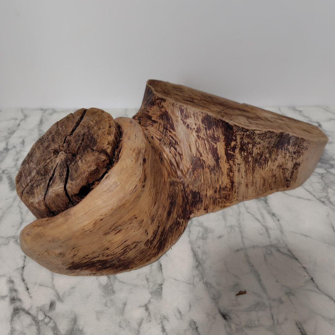 アク抜き済み流木【869】