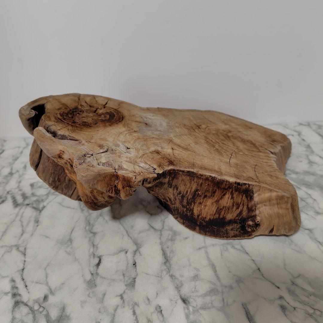 アク抜き済み流木【869】