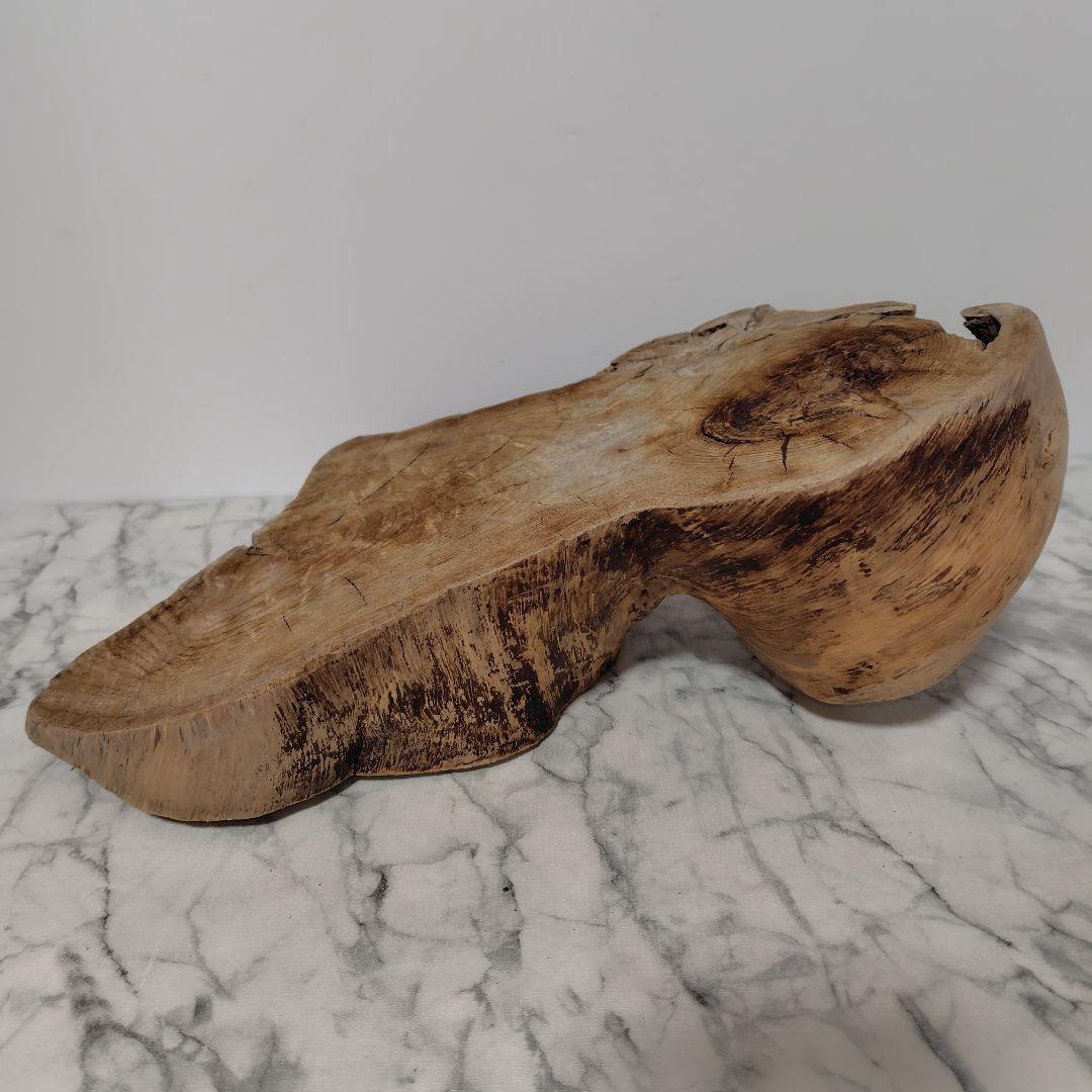 アク抜き済み流木【869】