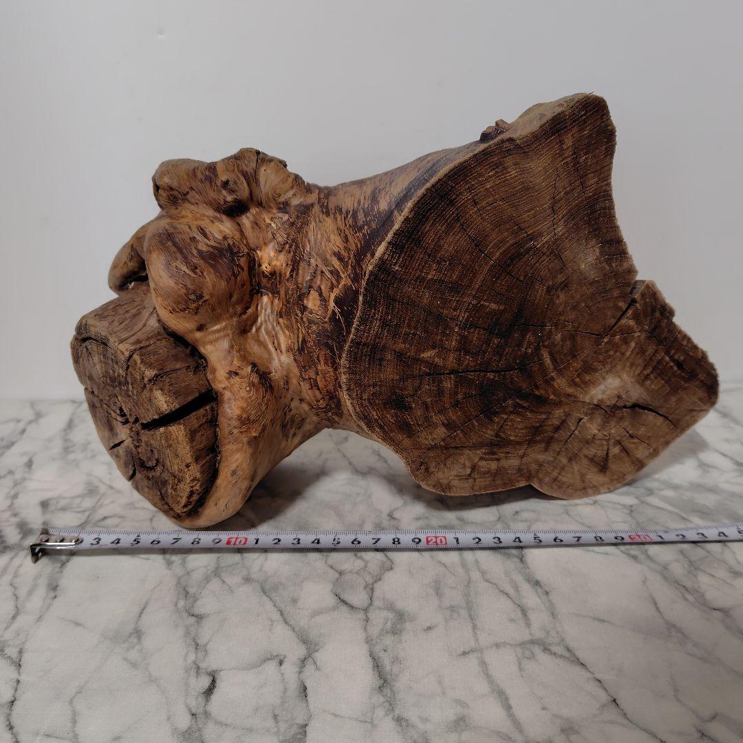 アク抜き済み流木【869】