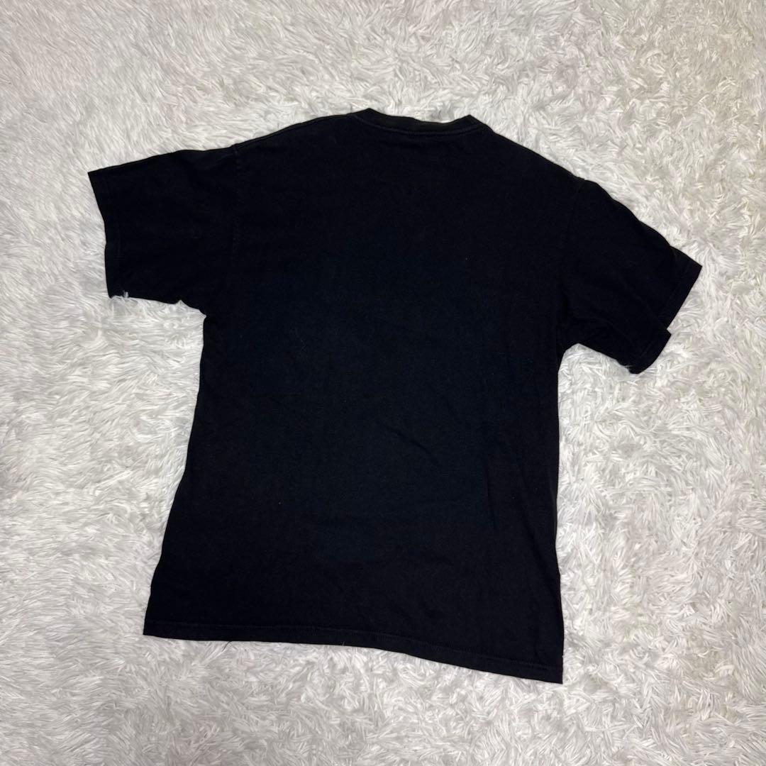 ☆【90s希少】STUSSY フォトプリントTシャツ オールドステューシー☆