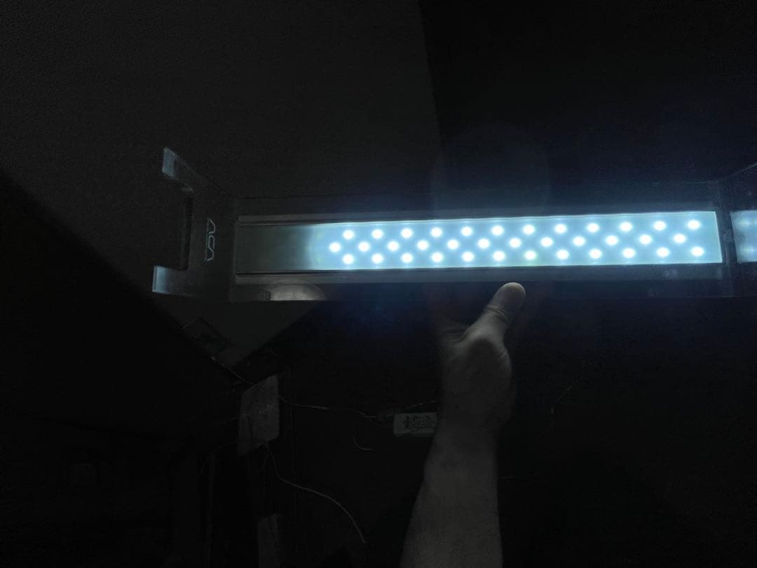 マスオさん専用ADA 水槽 45センチ　アクアスカイG45 ada