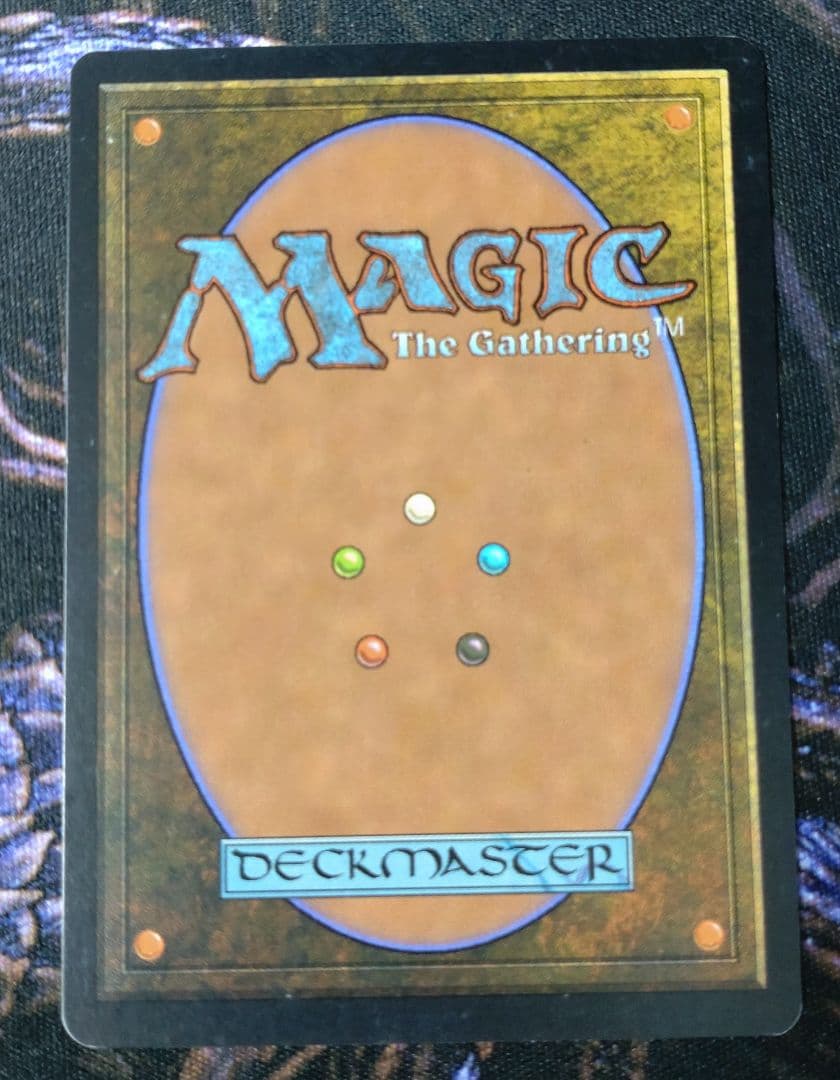 直観　日本語　mtg