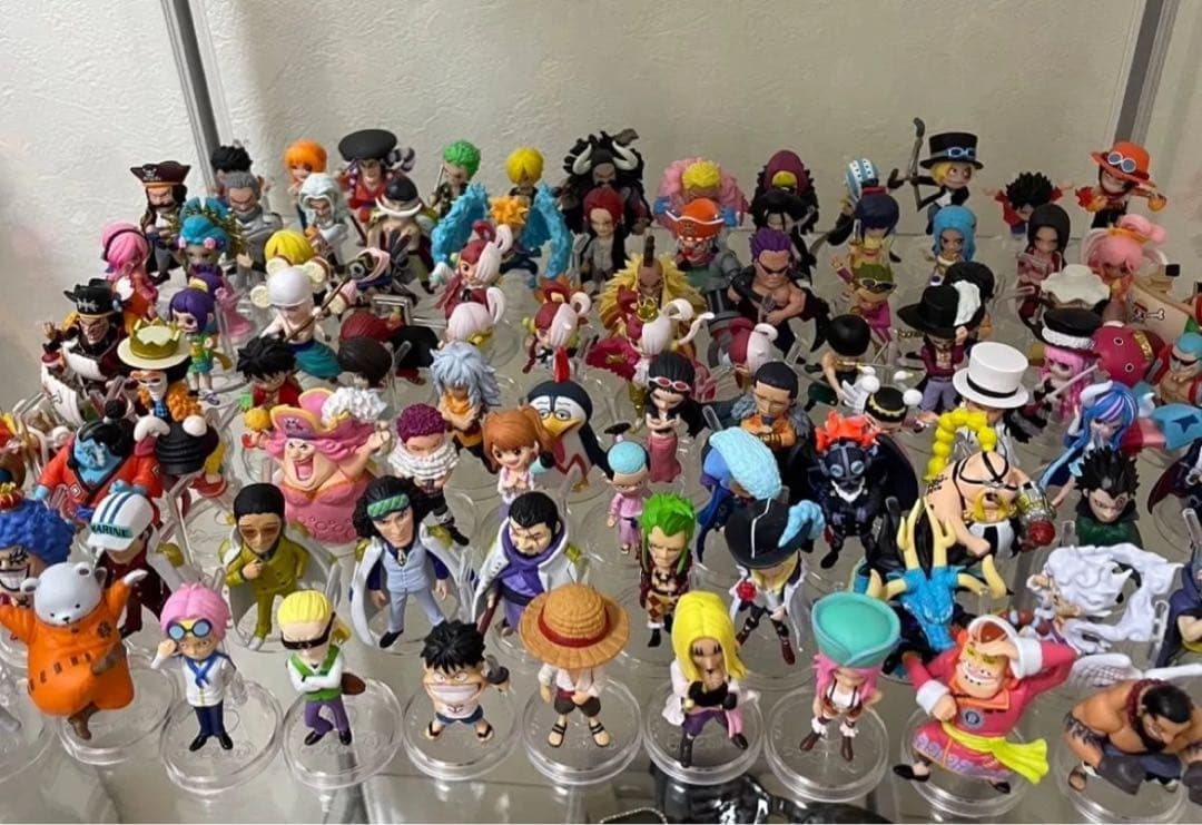 ワンピース　ワンピの実　113個