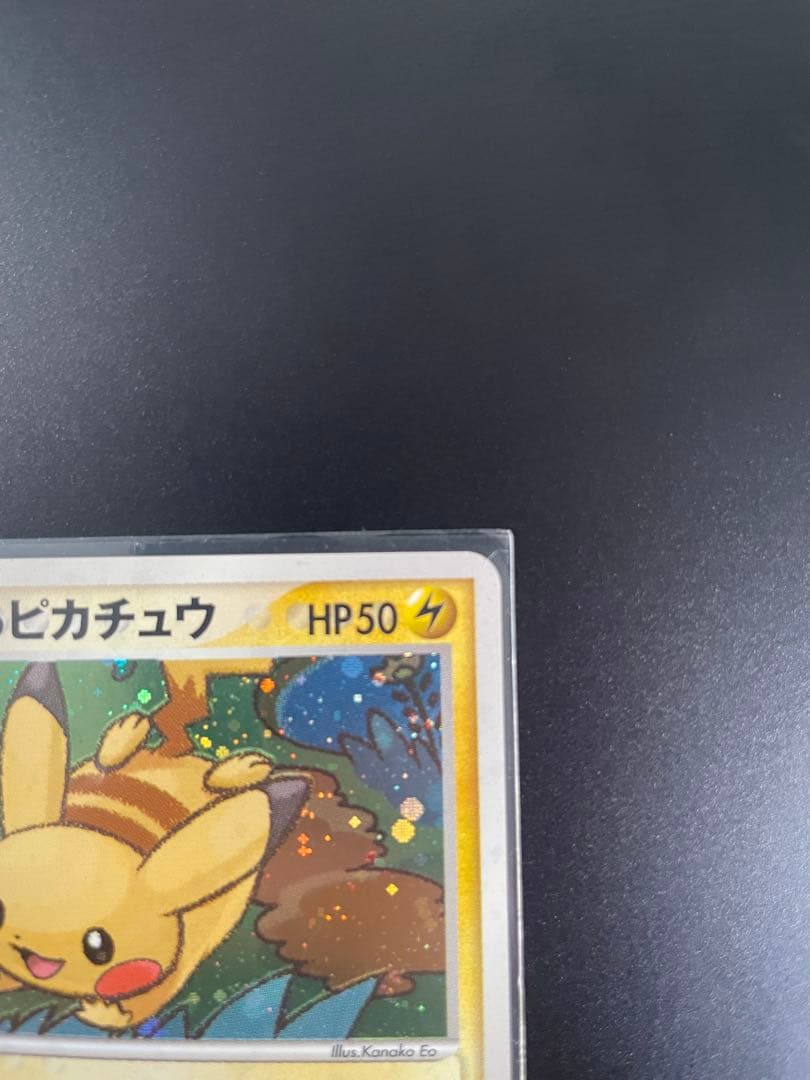 ハ*ス様 ポケパークのピカチュウ 004/009