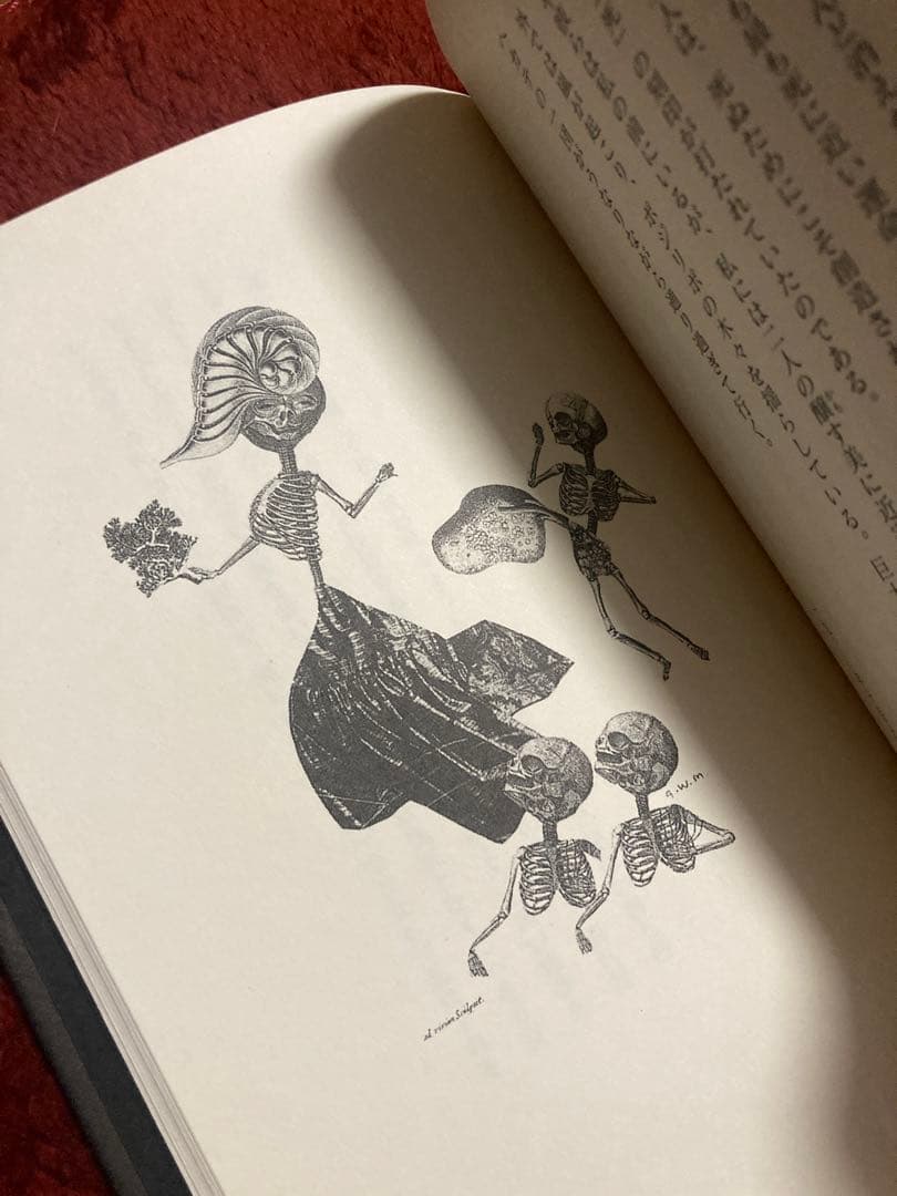 ネクロフィリア