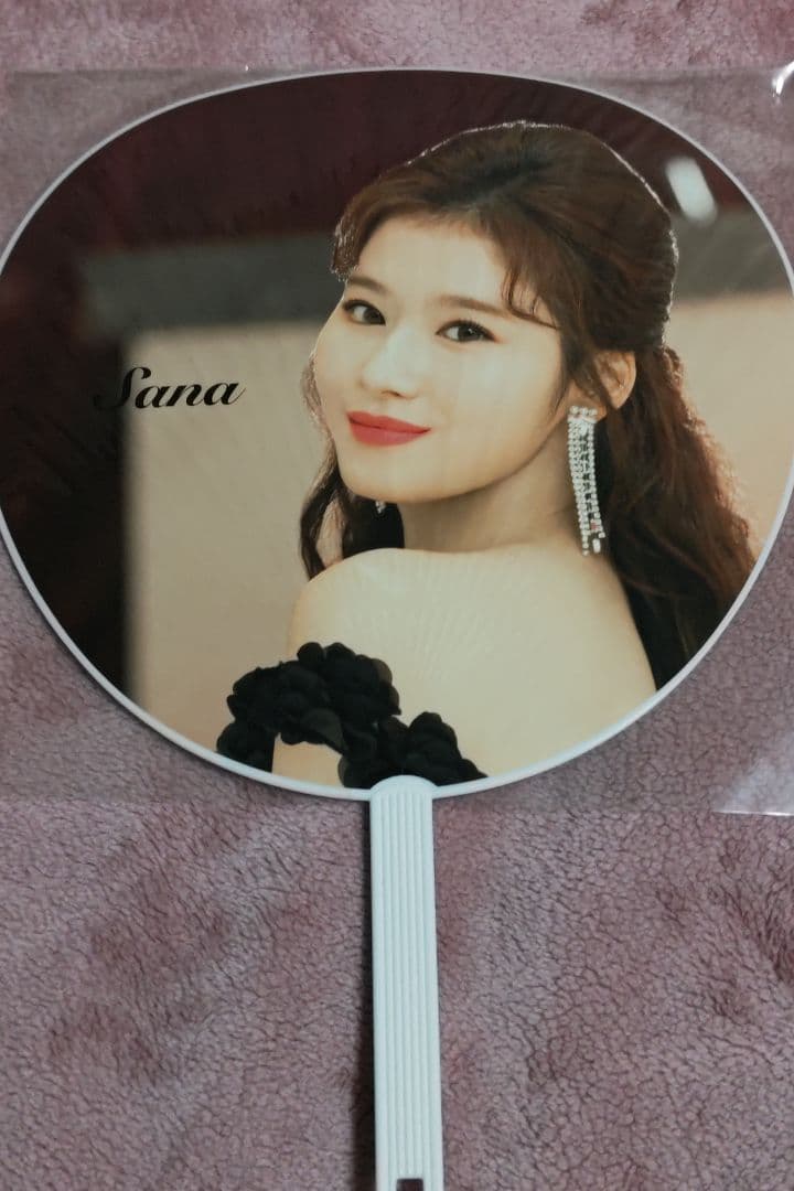 TWICE DOME TOUR 2019 Dream day うちわ