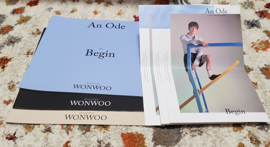 SEVENTEEN ウォヌ トレカなど