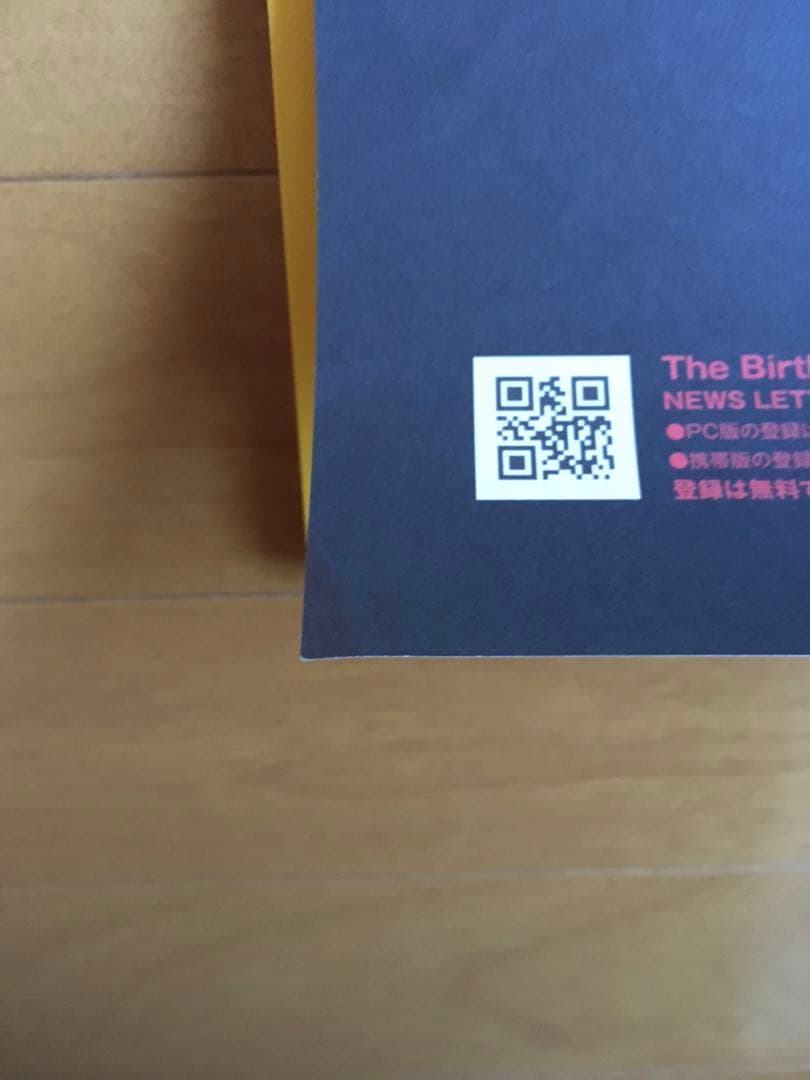 The Birthday COME TOGETHER 告知ポスターB2サイズ