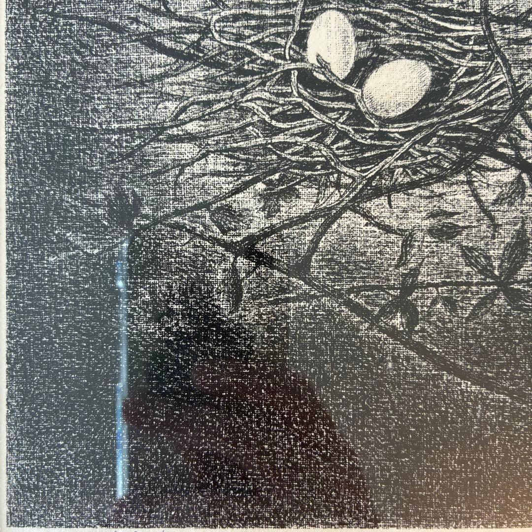 岡 鹿之助「巣」リトグラフ　本人鉛筆サイン入　額付　EA版　25.10.29−1