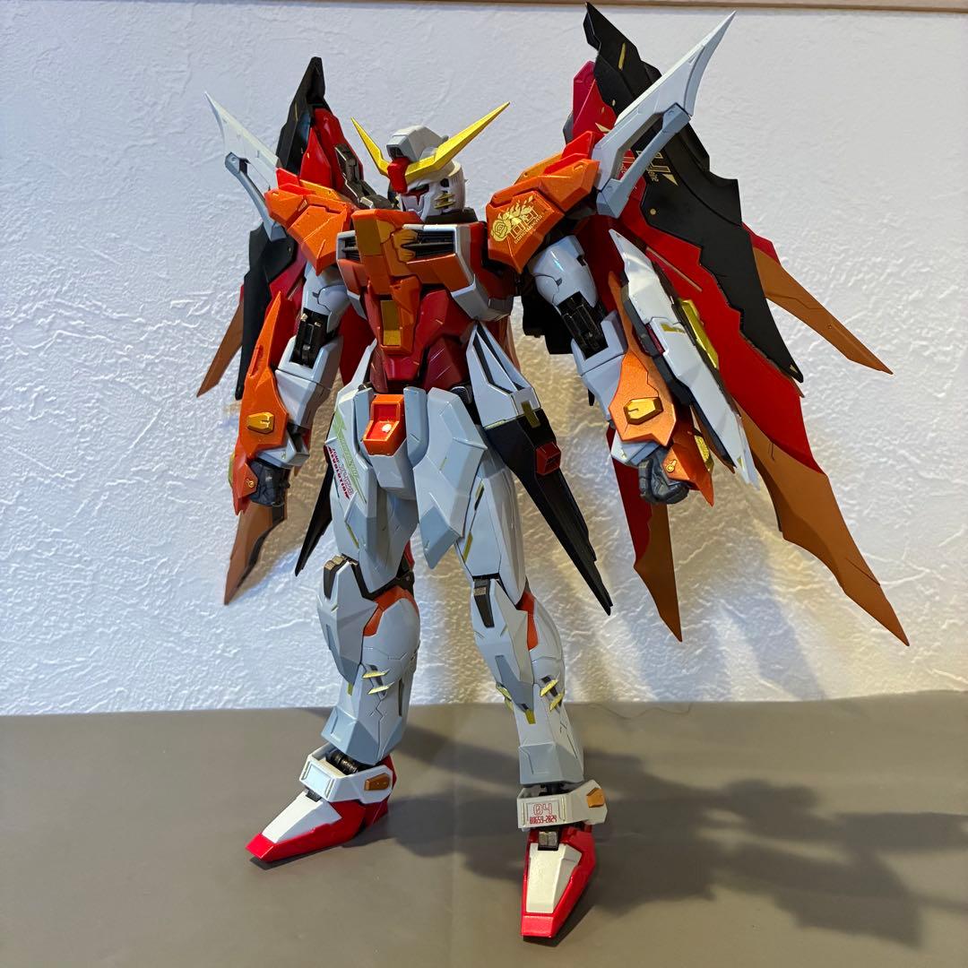 L BUILD メタルビルド ハイネ機 デスティニーガンダム