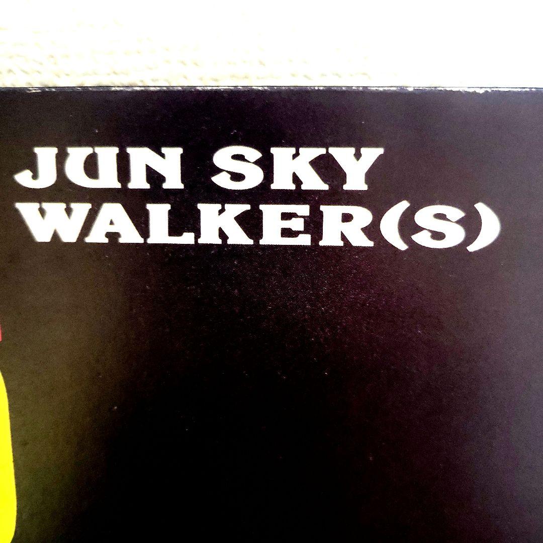 ☆『ジュンスカイウォーカーズ パネルポスター』☆