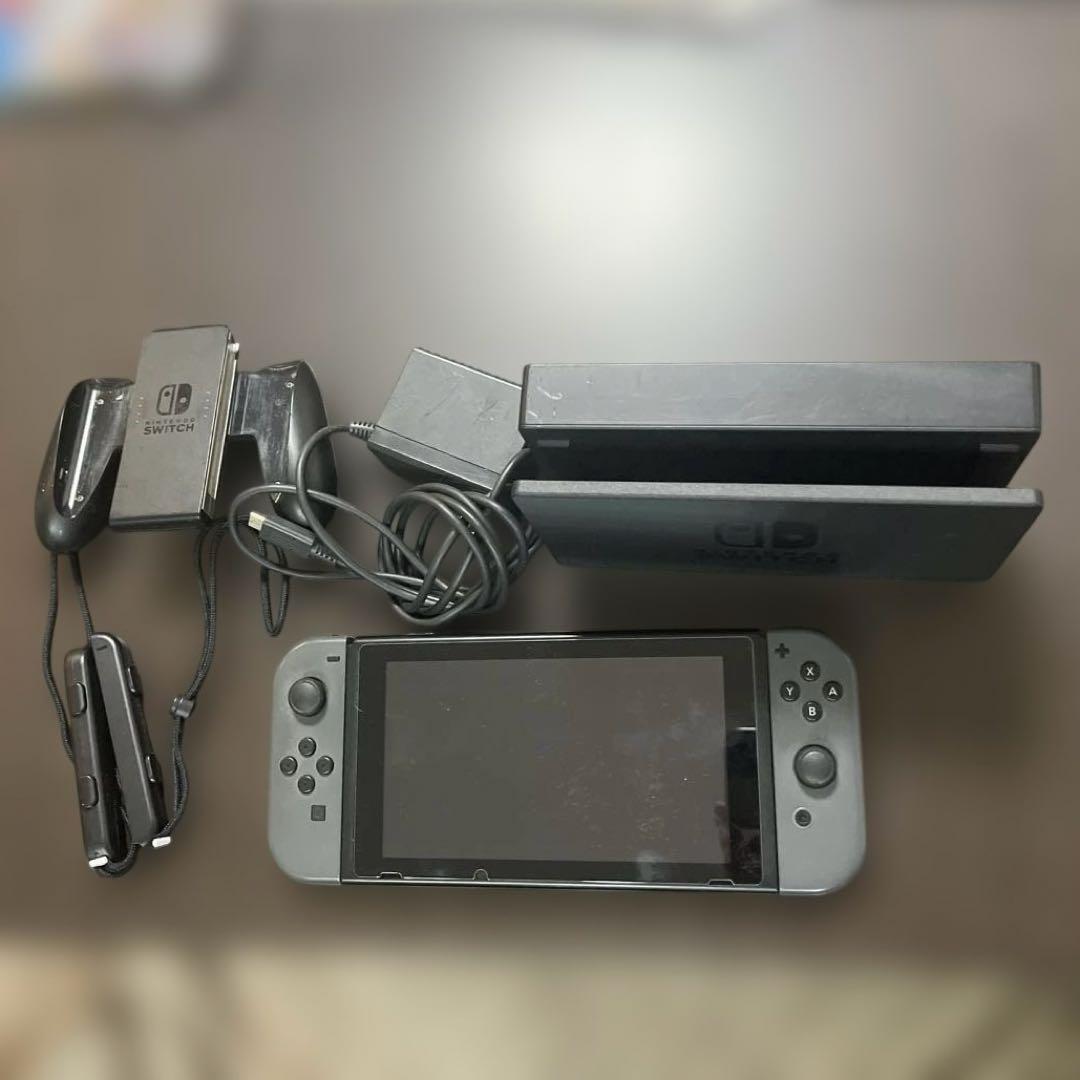 Switch 本体　ドッグ