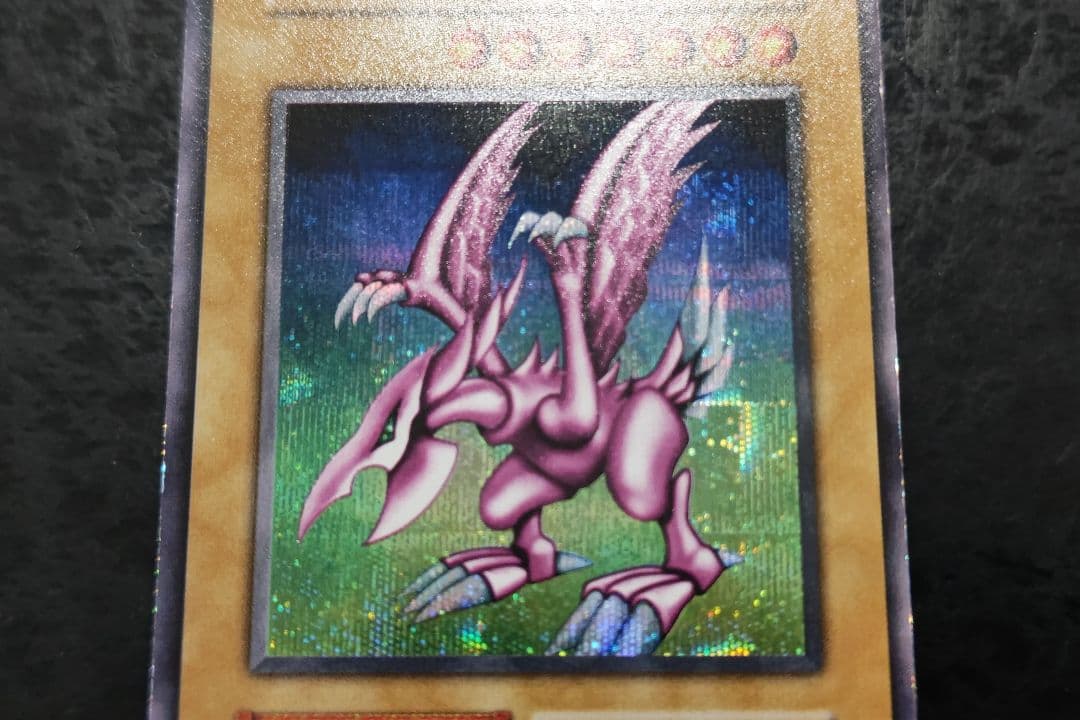 さっちん　ホーリーナイト・ドラゴン