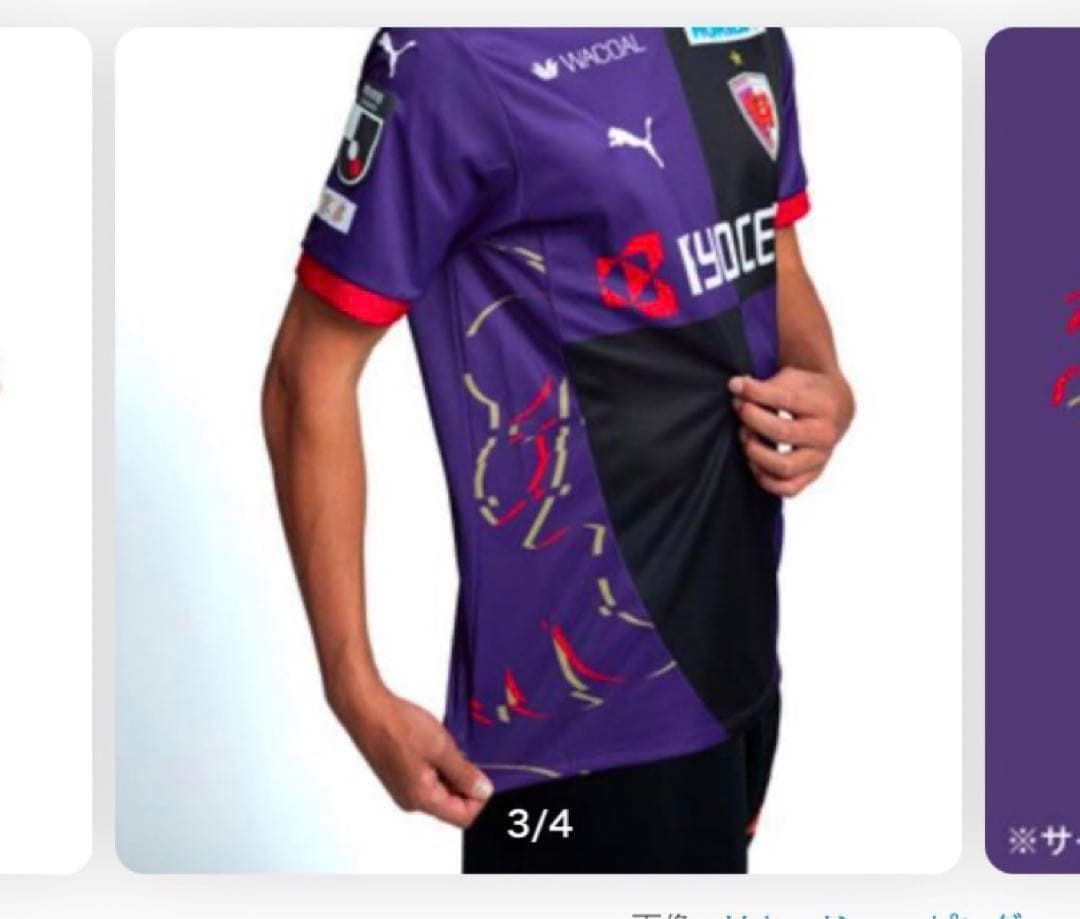 京都サンガF.C.（KYOTO SANGA F.C.）（メンズ、レディース）