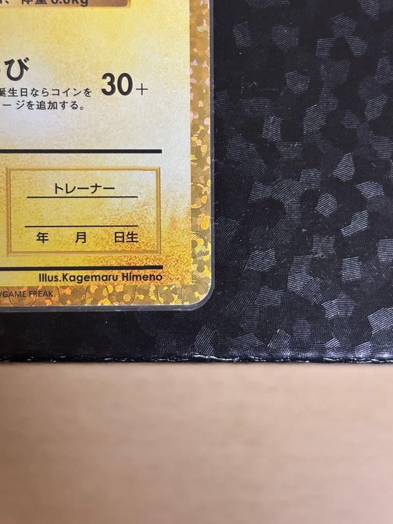 お誕生日のピカチュウ　25th