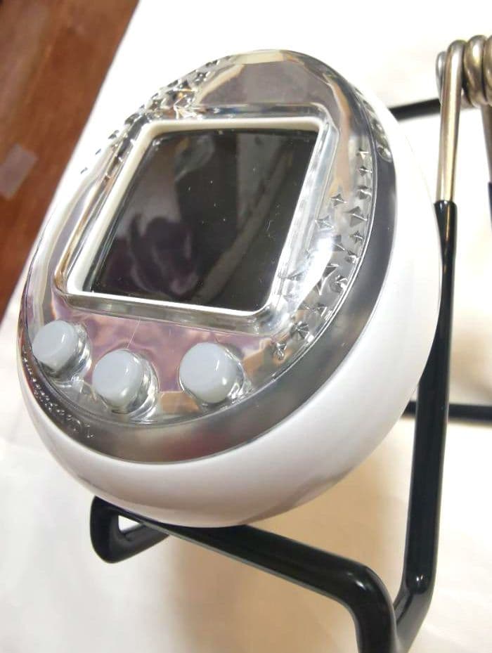 かほりんさま専用です(^-^) たまごっちidl