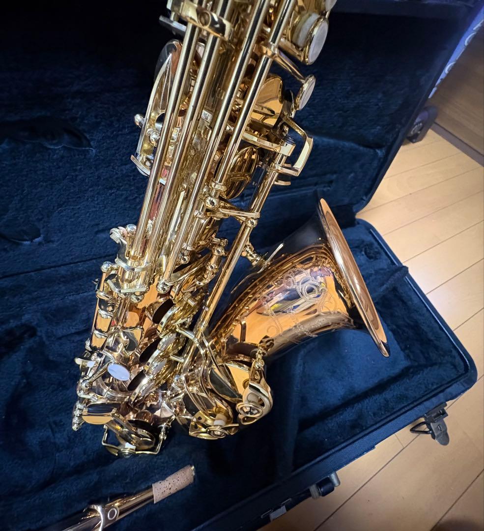 ヤナギサワアルトサツクスWO20 本体