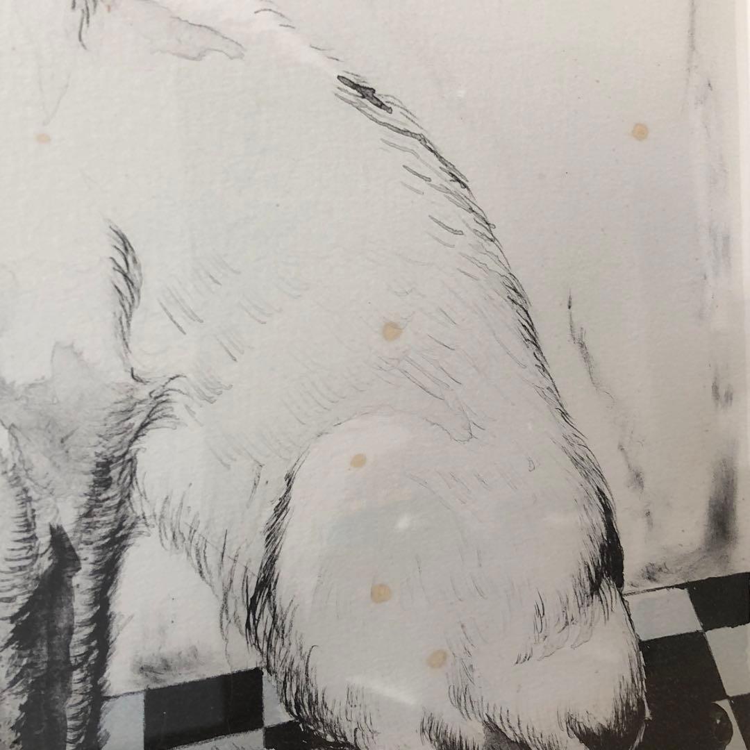 小澤清人 おざわきよんど ビー玉と猫 版画（9/100） 54×40㎝