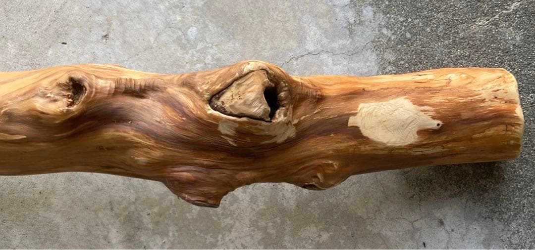 希少　樹齢150〜200年　杉枝　約126cm 鑑賞　庭　インテリア 骨董　華道