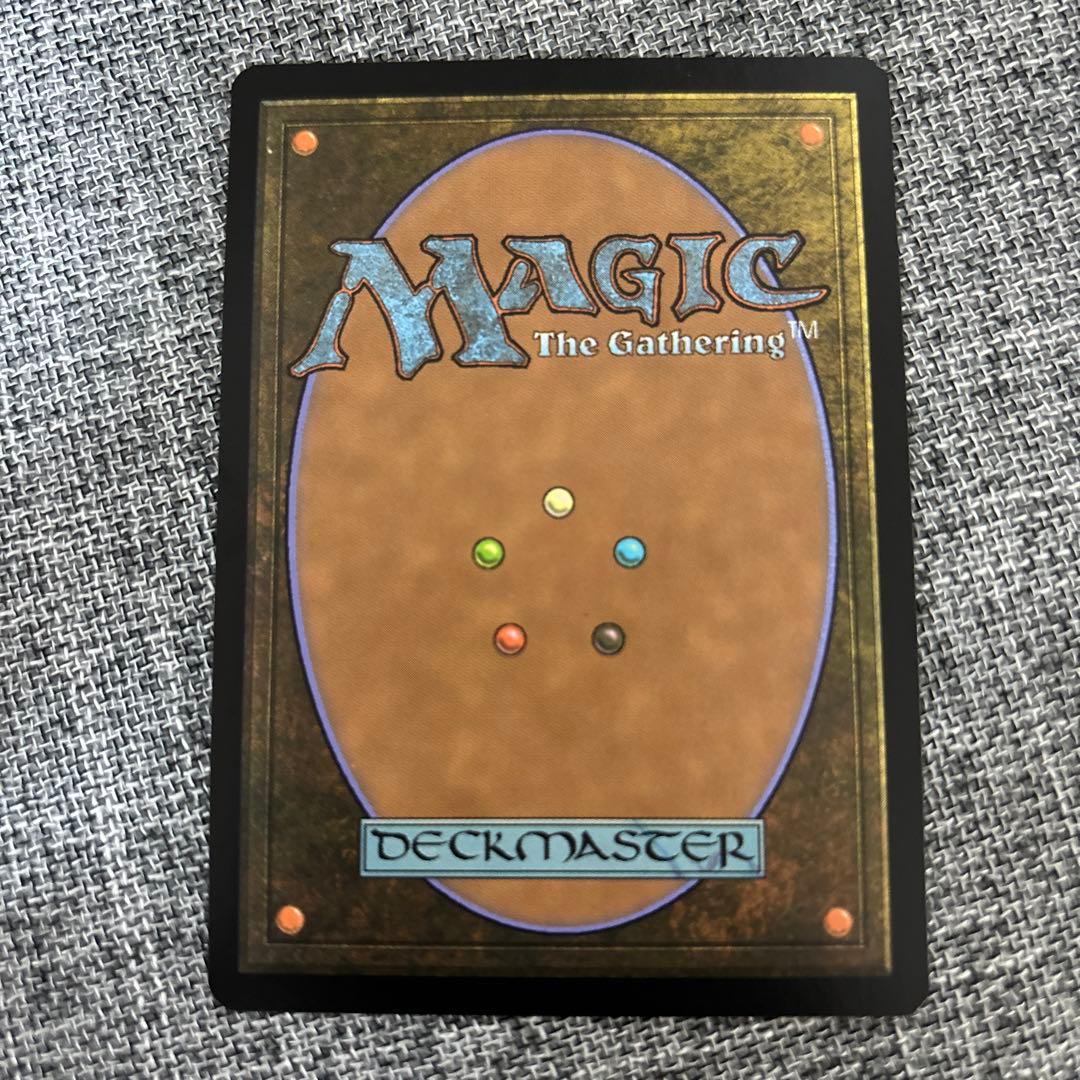 送料込み　mtg アニマのメイエル　foil 日本語版　普通サイズ