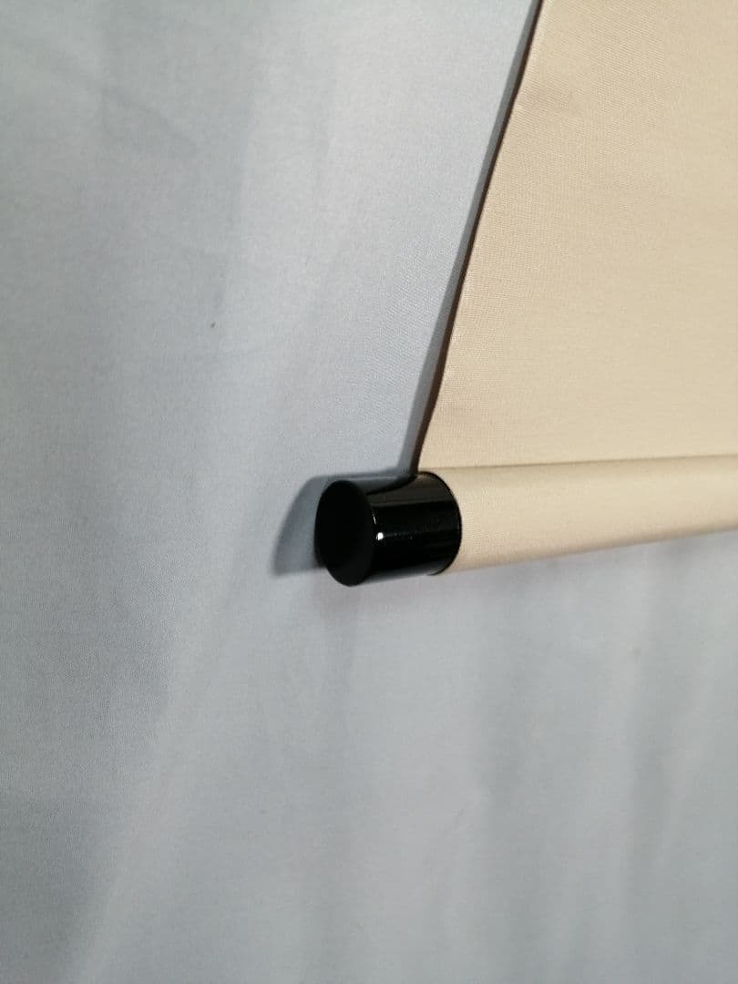 【茶道具】大徳寺　足立泰道和尚筆 青柳 画賛『花紅』　茶掛　掛軸 軸C169