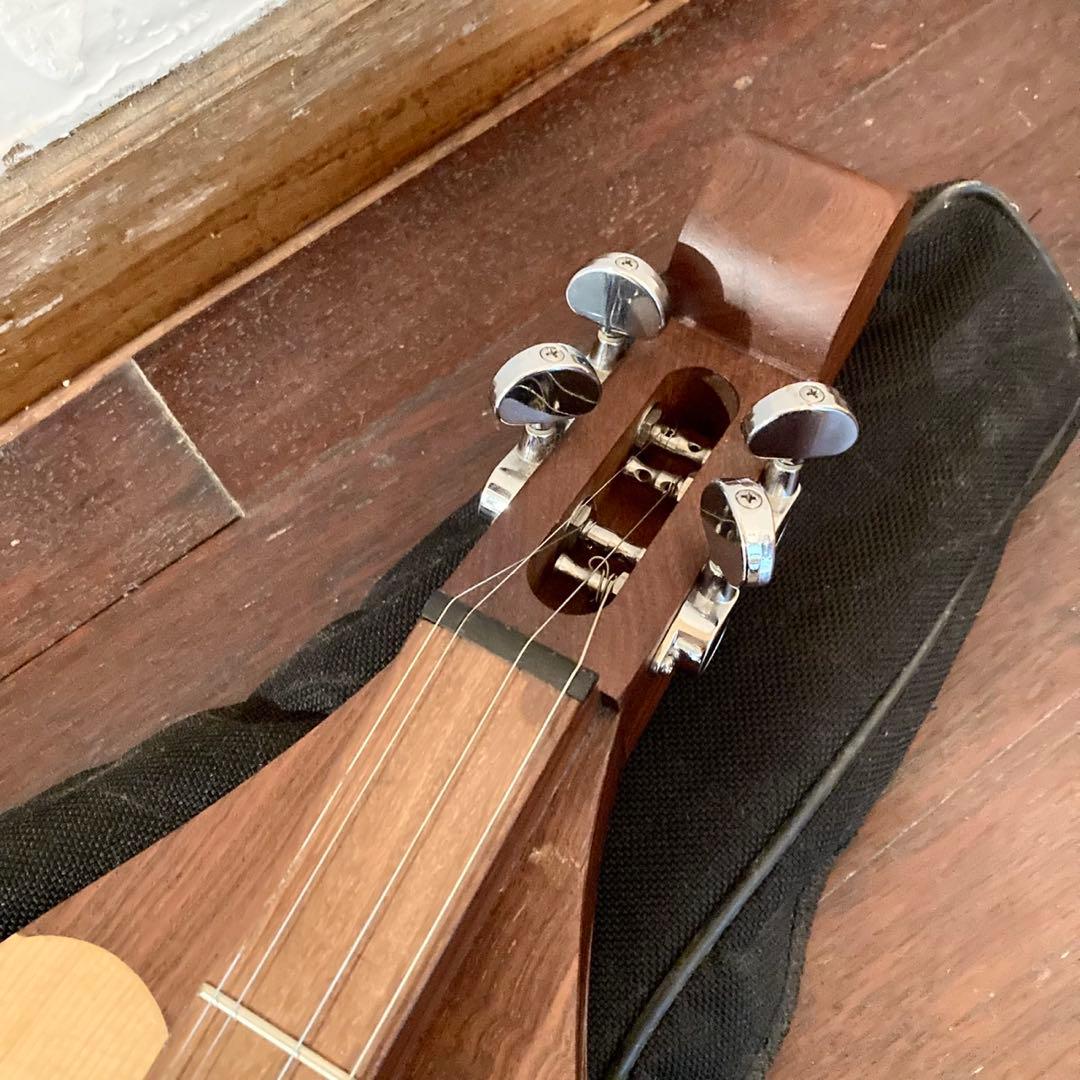 アパラチアン　ダルシマー　マウンテン　シンディーローパー