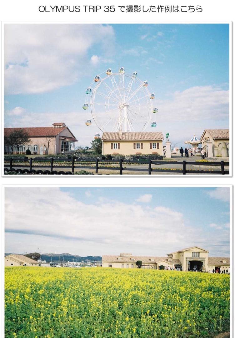 【整備済】【保証付 】 オリンパス　OLYMPUS TRIP 35