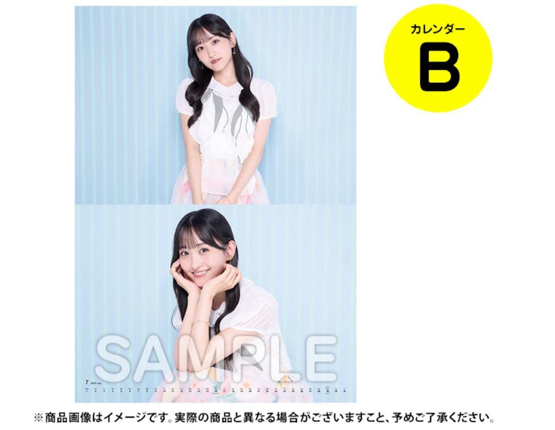 壁掛けカレンダー A B 2本セット 2026年 乃木坂46