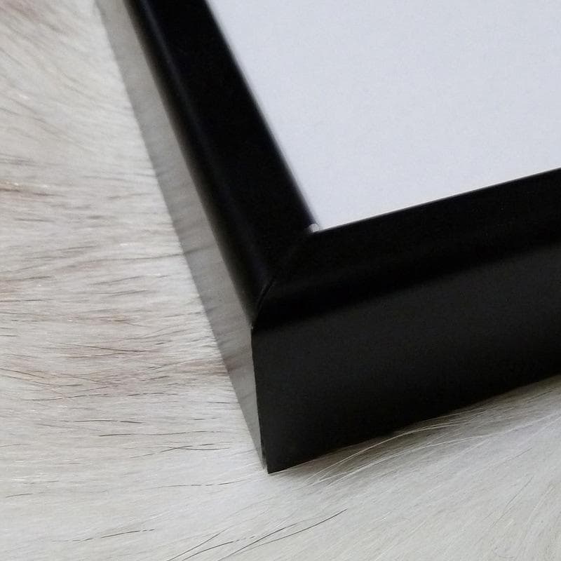 額装済作品/森山大道/Untitled Tokyo 1970/インテリア/アート