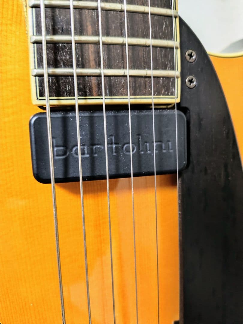 希少 Peerless Martin Taylor Maestro 単板フルアコ