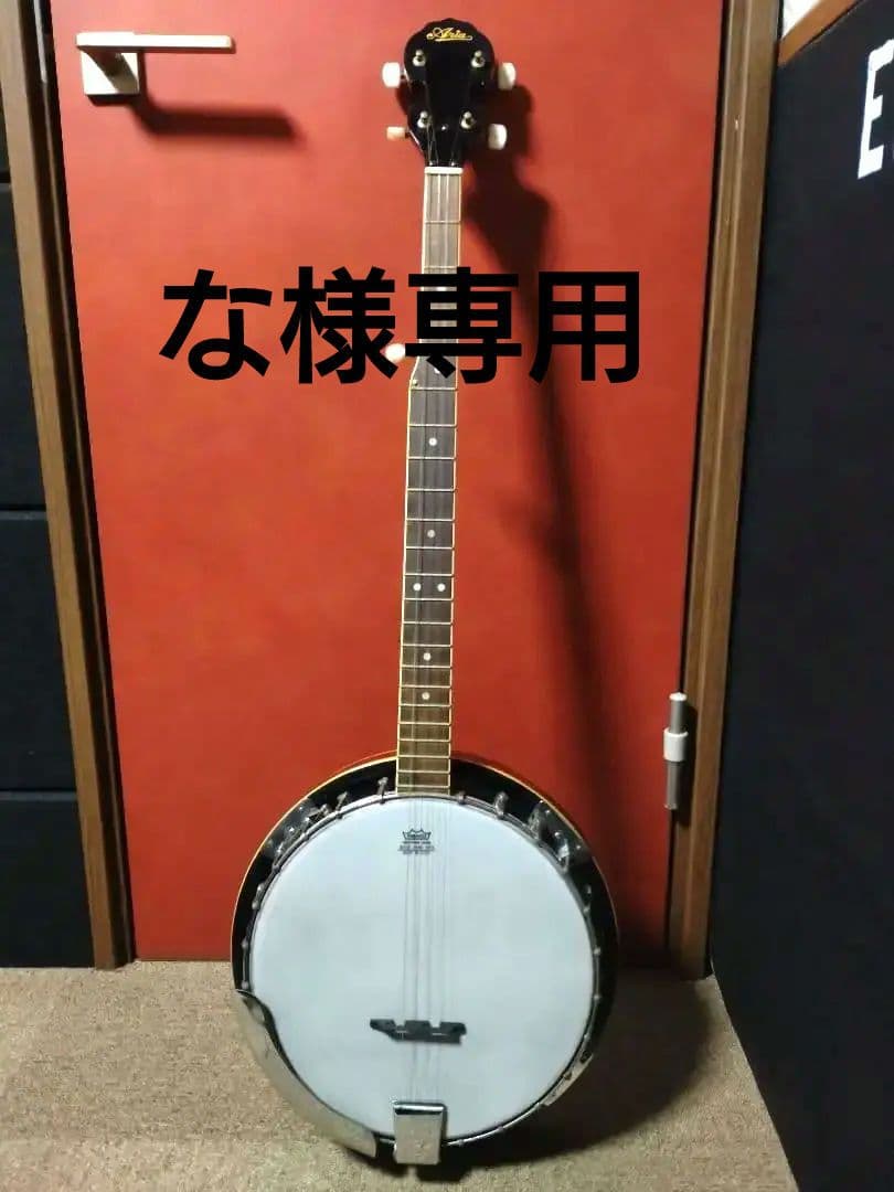 ARIA ５弦バンジョー