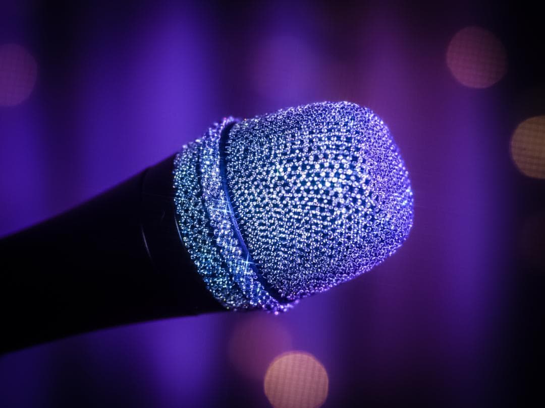 X'MAS SALE SENNHEISER e945 スワロフスキージルコニア