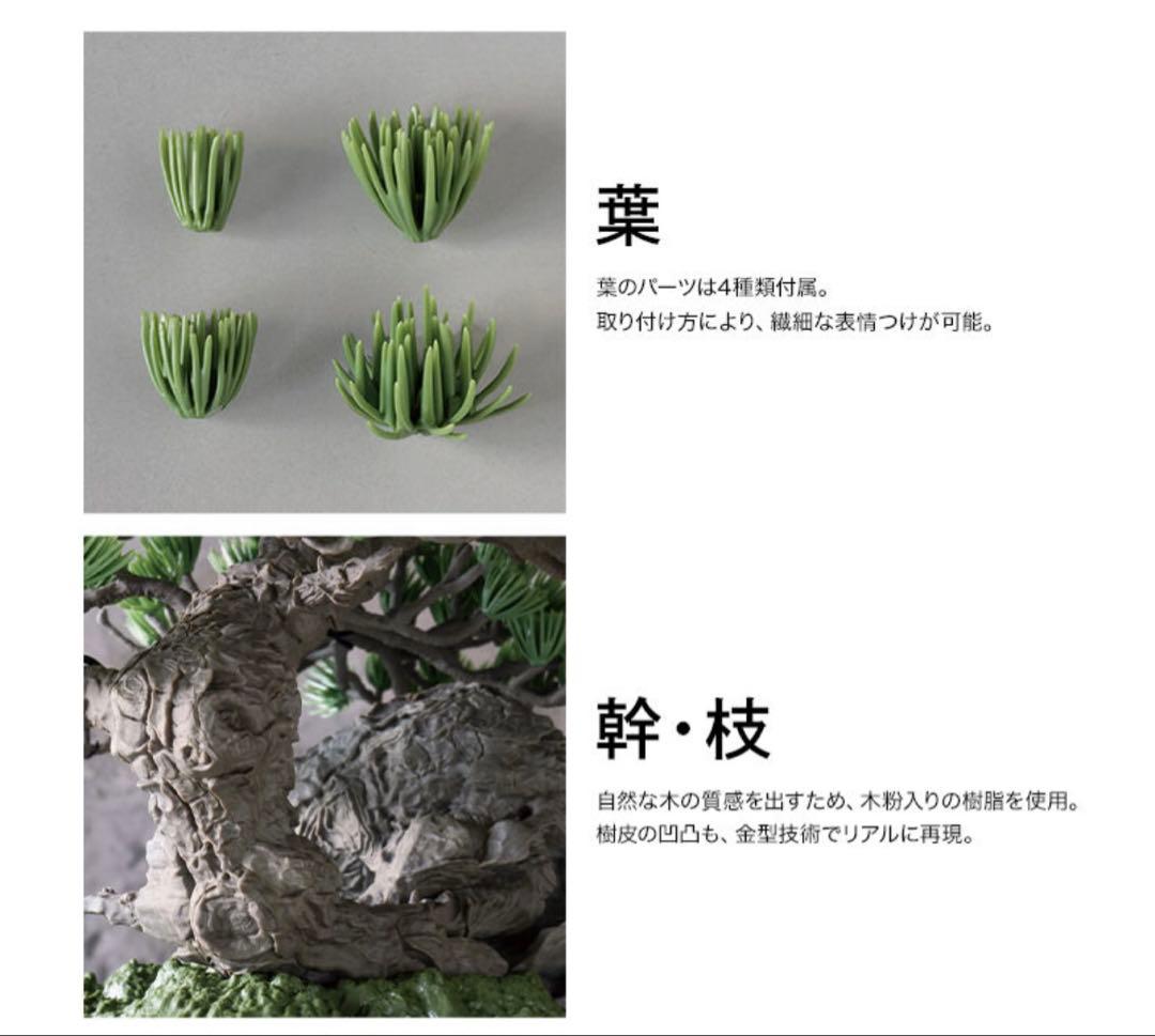 NEIGHBORHOOD SRL BANDAI BONSAI 盆栽のみ