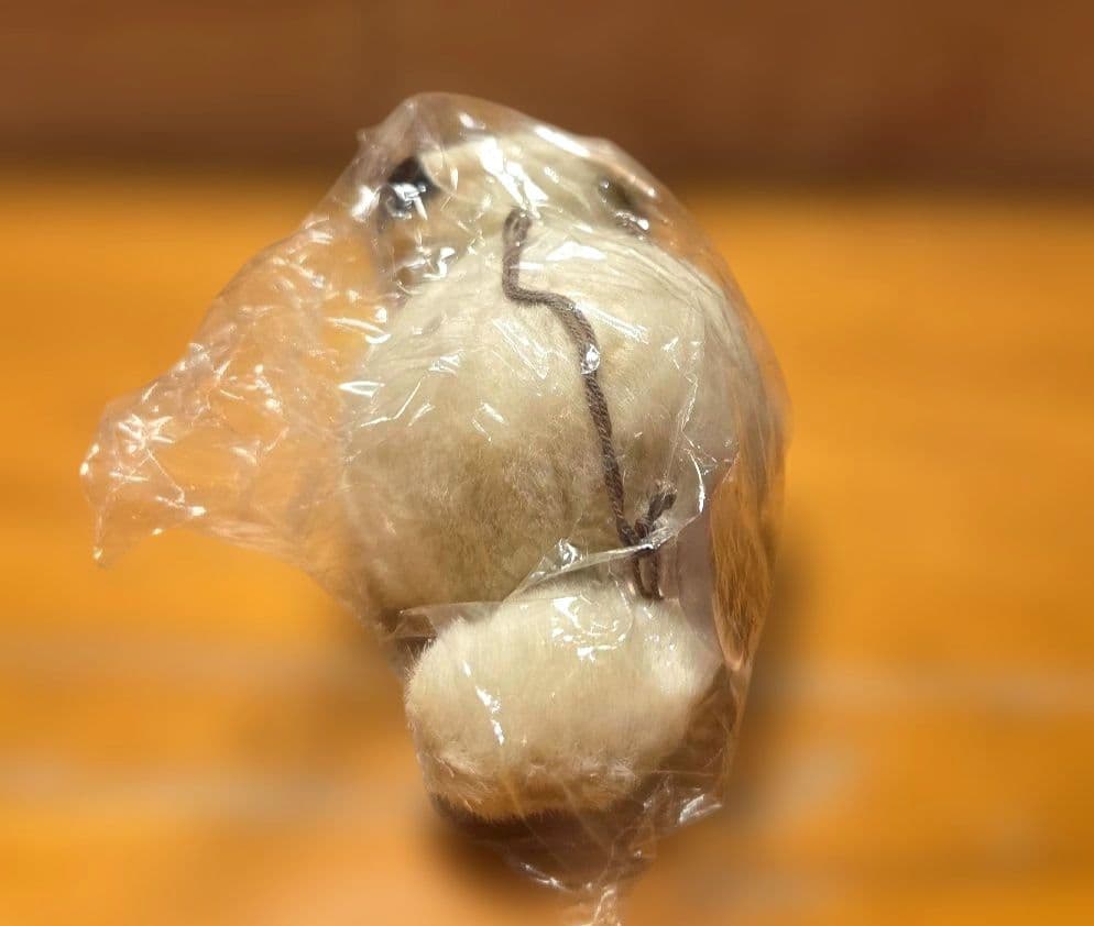 耳をすませば　ムーン　ぬいぐるみ非売品　ビデオレーザー特典