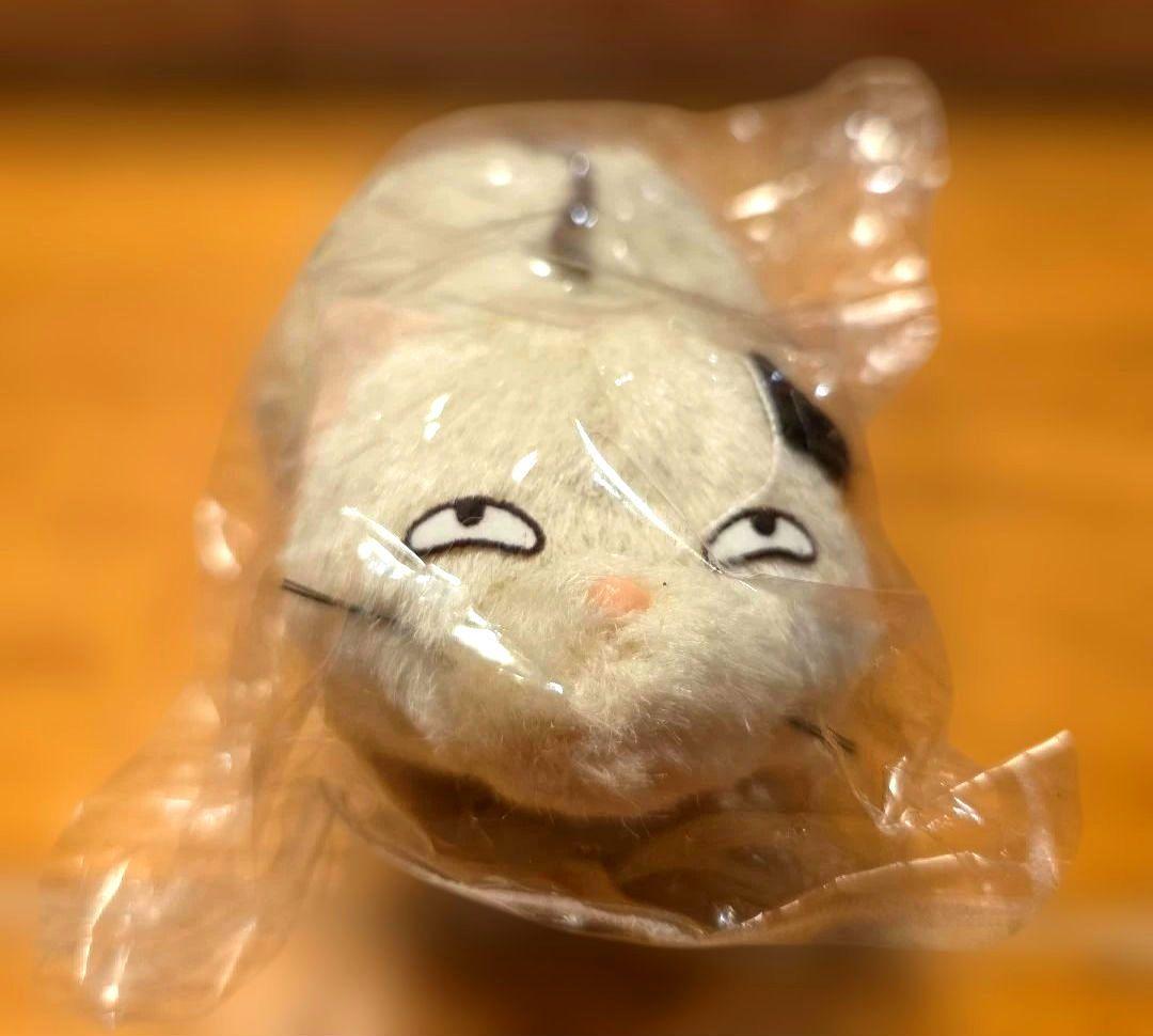 耳をすませば　ムーン　ぬいぐるみ非売品　ビデオレーザー特典