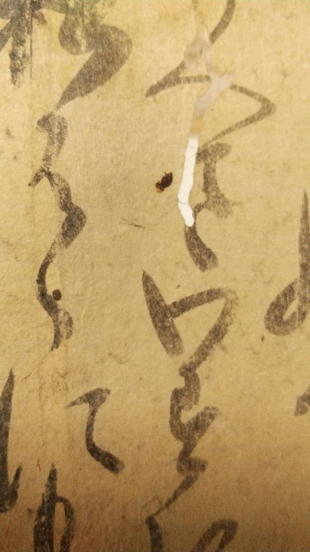 筆者不明　連歌古筆歌切　里村紹巴　細川藤孝？(幽斎) 藤堂良政？