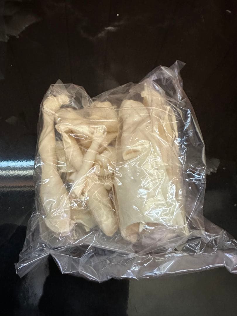 艶女医　1/8 二条院司　ガレージキット