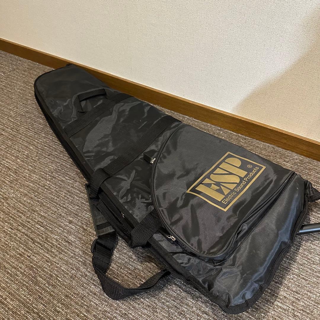 【美品♪】 GrassRoots アンプ内蔵ギター G-LPS-MINI CHS